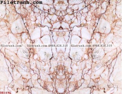 File tranh gốc File vân đá đá cẩm thạch đối xứng DX1695 (bản quyền) Filetranh.com
