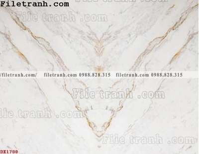 Download file ảnh gốc File vân đá đá cẩm thạch đối xứng DX1700 để in ấn