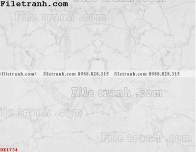 File in ấn cao cấp File vân đá đá cẩm thạch đối xứng DX1734 (file gốc)