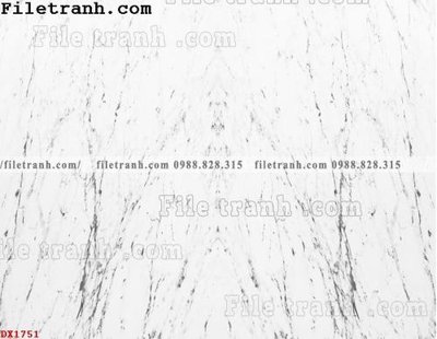 File tranh File vân đá đá cẩm thạch đối xứng DX1751 (ảnh gốc) in trần nhà