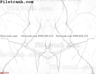 File tranh quảng cáo File vân đá đá cẩm thạch đối xứng DX1772 (file gốc) chuyên nghiệp