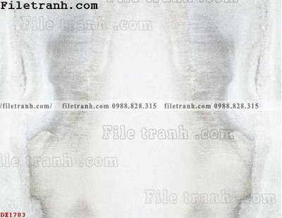 File tranh File vân đá đá cẩm thạch đối xứng DX1783 (gốc) in film