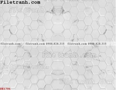 File tranh gốc File vân đá đá cẩm thạch đối xứng DX1786 chủ đề hiện đại