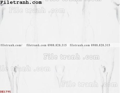 File in lụa File vân đá đá cẩm thạch đối xứng DX1795 (chất lượng cao) File vân đá đá cẩm thạch đối xứng DX1795