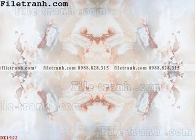 File tranh File vân đá đá cẩm thạch đối xứng DX1922 (gốc) phong cách tối giản