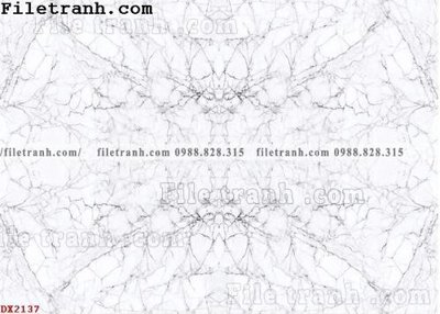 File gốc File vân đá đá cẩm thạch đối xứng DX2137 (trang trí) phòng ngủ