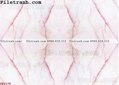 File tranh File vân đá đá cẩm thạch đối xứng DX2170 (ảnh gốc) không bị mờ