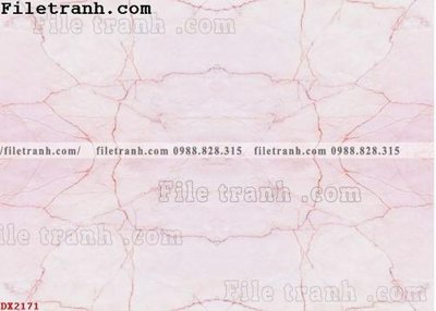 File gốc File vân đá đá cẩm thạch đối xứng DX2171 (in lụa) chi tiết cao