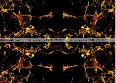 Tệp tin gốc File vân đá đá cẩm thạch đối xứng DX2221 (chất lượng cao) File vân đá đá cẩm thạch đối xứng DX2221