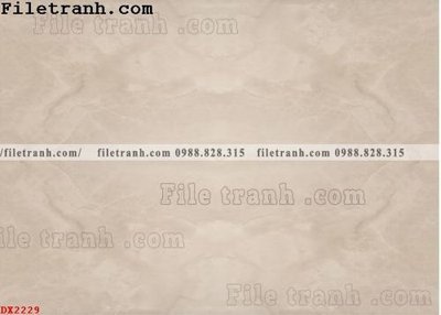 File tranh File vân đá đá cẩm thạch đối xứng DX2229 (bản gốc) trang trí văn phòng