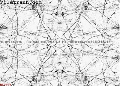 File gốc File vân đá đá cẩm thạch đối xứng DX2254 cho in ấn và thiết kế