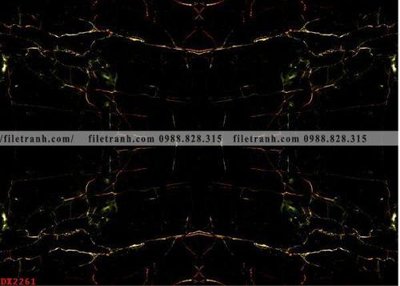 Tải xuống file tranh gốc File vân đá đá cẩm thạch đối xứng DX2261 (PSD/TIFF)