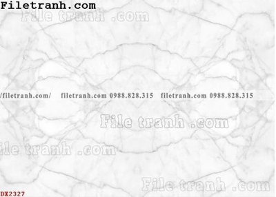 Tải file File vân đá đá cẩm thạch đối xứng DX2327 (ảnh gốc) in tráng gương