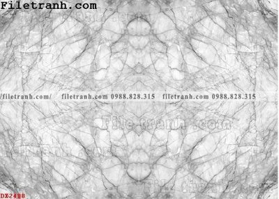 File gốc File vân đá đá cẩm thạch đối xứng DX2408 (cho in ấn) độc quyền