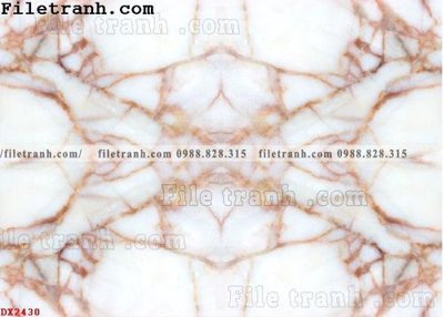 File in ấn chuyên nghiệp File vân đá đá cẩm thạch đối xứng DX2430 (file gốc)