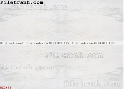 File tranh File vân đá đá cẩm thạch đối xứng DX2461 (gốc) in trên kính