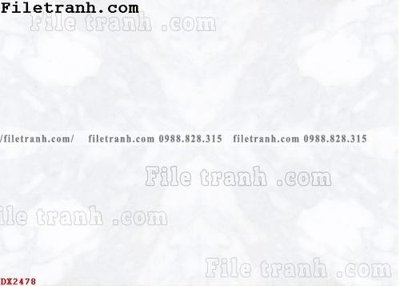 Tải file File vân đá đá cẩm thạch đối xứng DX2478 (gốc) chủ đề phong thủy