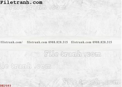 Tải file File vân đá đá cẩm thạch đối xứng DX2503 (ảnh gốc) in tráng gương