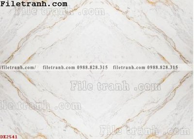 Tải file File vân đá đá cẩm thạch đối xứng DX2541 (ảnh gốc) 300dpi File vân đá đá cẩm thạch đối xứng DX2541