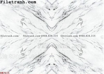 File tranh File vân đá đá cẩm thạch đối xứng DX2615 (bản gốc) in canvas