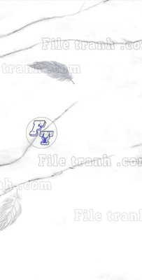 Chi tiết file tranh tráng gương File in vân đá cẩm thạch thông tầng đứng DXD133 (ảnh gốc)