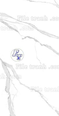 File PSD File in vân đá cẩm thạch thông tầng đứng DXD144 (gốc) cho in quảng cáo