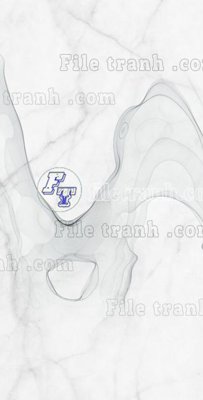 File in trần File in vân đá cẩm thạch thông tầng đứng DXD153 (bản gốc) bầu trời