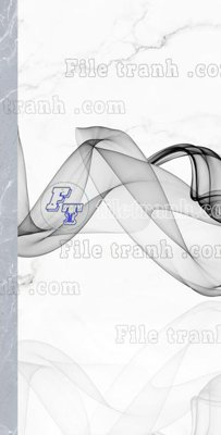 File tranh gốc File in vân đá cẩm thạch thông tầng đứng DXD222 (sắc nét từng chi tiết)