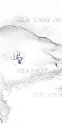 File tranh in tráng gương File in vân đá cẩm thạch thông tầng đứng DXD297 (siêu nét)