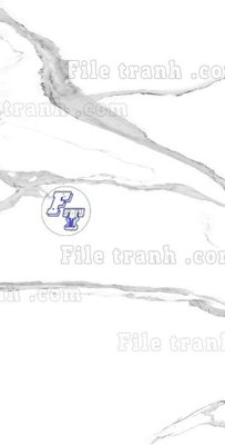 File gốc File in vân đá cẩm thạch thông tầng đứng DXD62 (PNG) không nền chất lượng