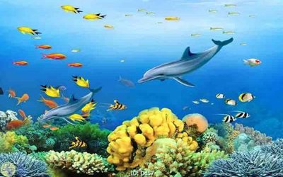 File gốc in ấn File gốc đại đương DD57 độ phân giải cao