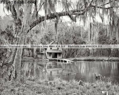 File gốc in ấn De Leon Springs_ 1904 chuẩn màu CMYK