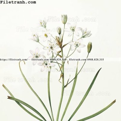 File in mica Dong hoa va chim moi cua Trung Quoc 108 (bản gốc) siêu trong