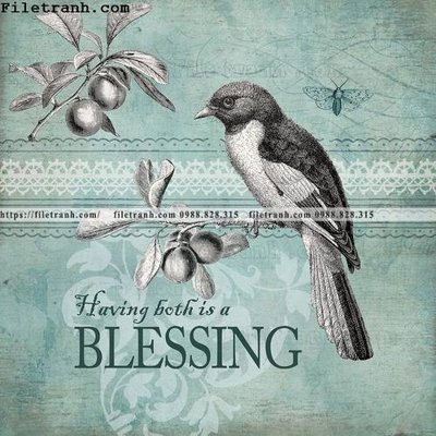 Tải xuống file tranh gốc Dong hoa va chim moi cua Trung Quoc 125 (PSD/TIFF)