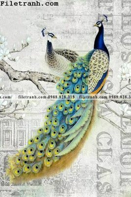 Ảnh gốc Dong hoa va chim moi cua Trung Quoc 230 (độ nét cao) in tráng gương