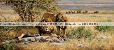 File tranh Dong tranh son dau co dien Chau Au 167 (gốc) in film