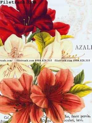 Chi tiết file gốc Dong tranh son dau co dien Chau Au 228 (cho in tráng gương)