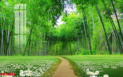 File tranh File in tranh tường hiện đại FG10401 (bản gốc) in canvas