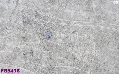 File in trần File in tranh tường hiện đại FG5438 (bản gốc) 5D