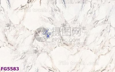 File tranh ảnh gốc File in tranh tường hiện đại FG5583 dùng cho in khổ lớn