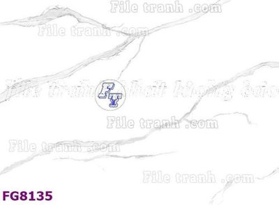 File gốc File gốc in đá cẩm thạch hiện đại FG8135 (ảnh chi tiết) để in ấn