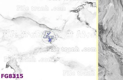 File gốc File gốc in đá cẩm thạch hiện đại FG8315 (trang trí) cho phòng khách