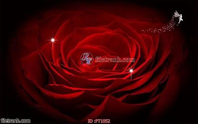 File gốc File psd tường quán cà phê FT1052 (trang trí) phòng làm việc