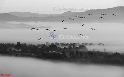 Tải file File in tranh tường 3D FT200032 (gốc) để in ấn ngay