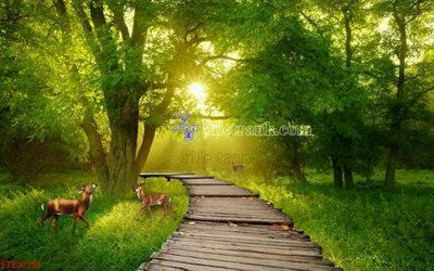 File gốc in ấn File in tranh tường 3D FT200358 (sẵn sàng tải về)