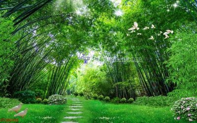 File tranh ảnh gốc File in tranh tường 3D FT200359 dùng cho in khổ lớn