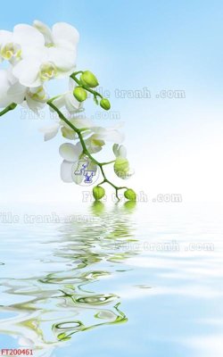 Download file tranh PSD File in tranh tường 3D FT200461 để chỉnh sửa