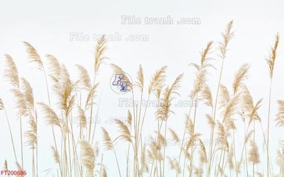 File gốc File in tranh tường 3D FT200686 (cho in ấn) độc quyền