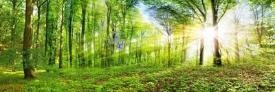 File gốc File in tranh tường 3D FT201065 (trang trí) phòng trẻ em