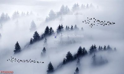 File tranh File in tranh tường 3D FT202009 (gốc) in backlit film